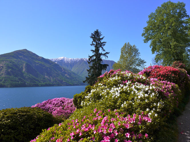 Gartenreise Italen, Villa Carlotta am Comersee