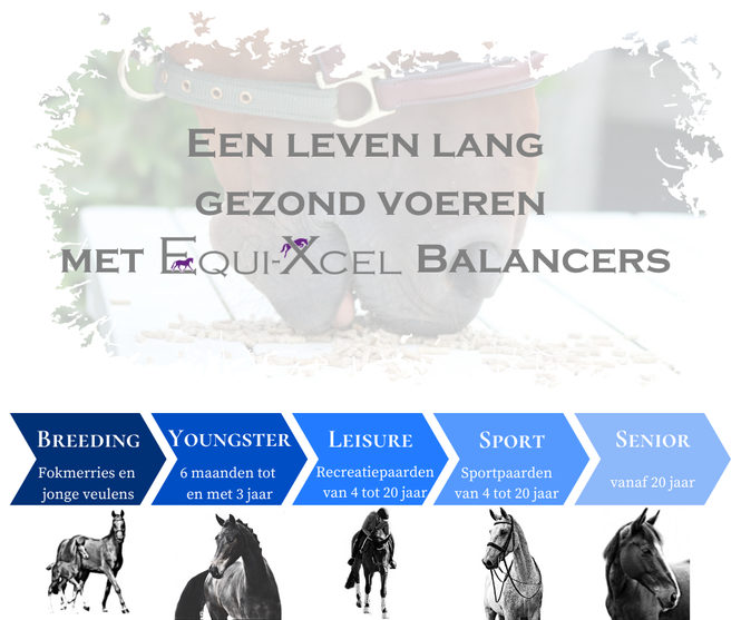Een leven lang gezond voeren met Equi-Xcel balancers. Balancers voor paarden, hoe zit het nou precies? 