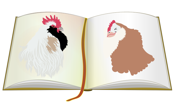 Vektorgrafik Gästebuch mit Lachshahn und Lachshenne