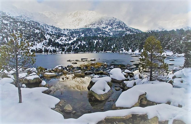 Estany de Malniu