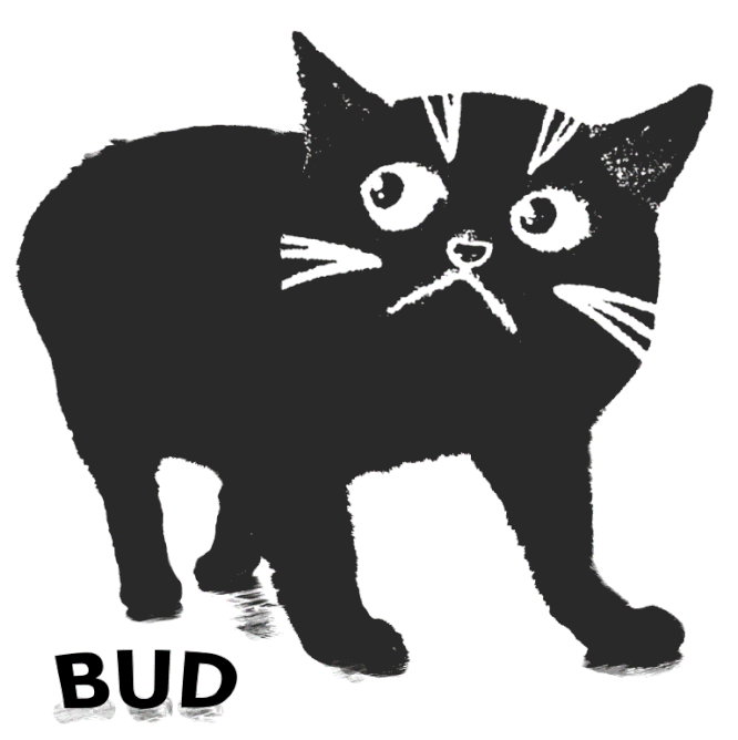 バドくん