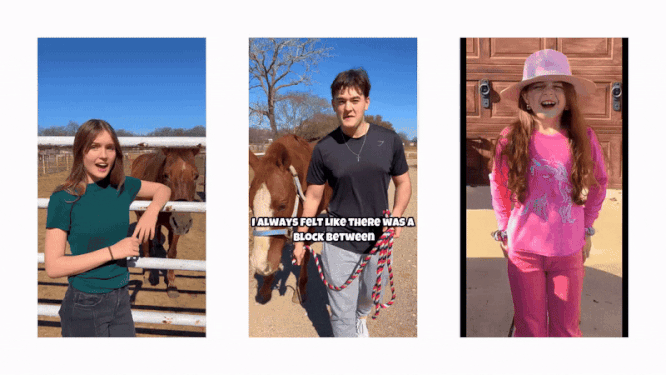 horse course, learn about horses, the wild adventure girls, horse course for kids