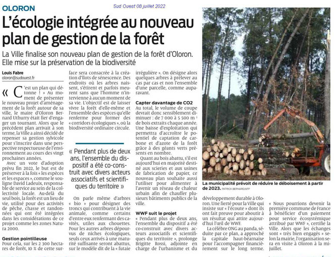 Sud Ouest : Gestion forestière à Oloron avec un nouveau plan de gestion plus protecteur de la nature grâce à l'implication de l'association ACCOB