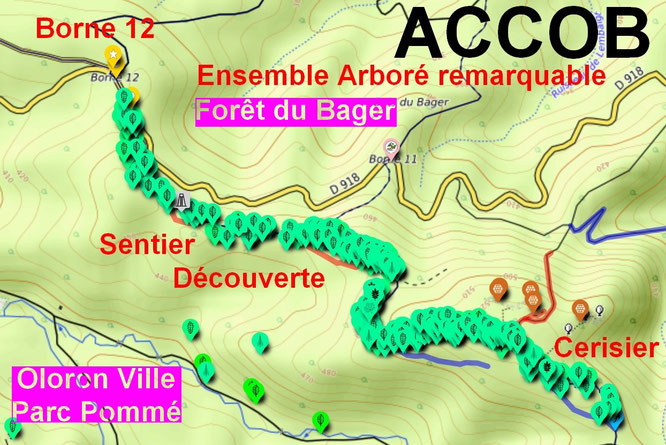 Premier label : pour la Forêt du Bager - Second label pour le Parc Pommé 10 octobre 2025_ACCOB