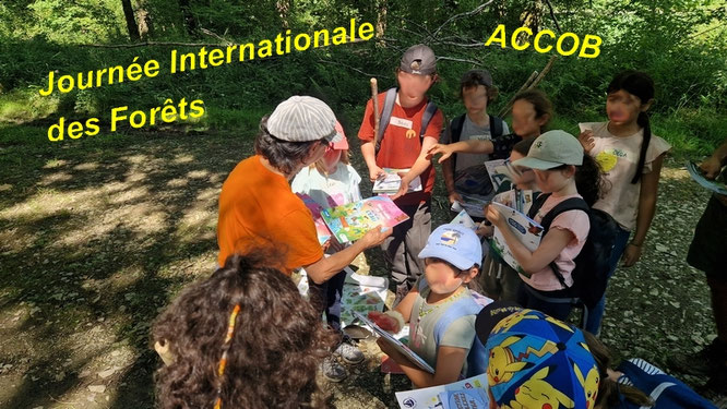 Journée Internationale des Forêts 2026 avec l'association ACCOB dans la forêt du Bager d'Oloron