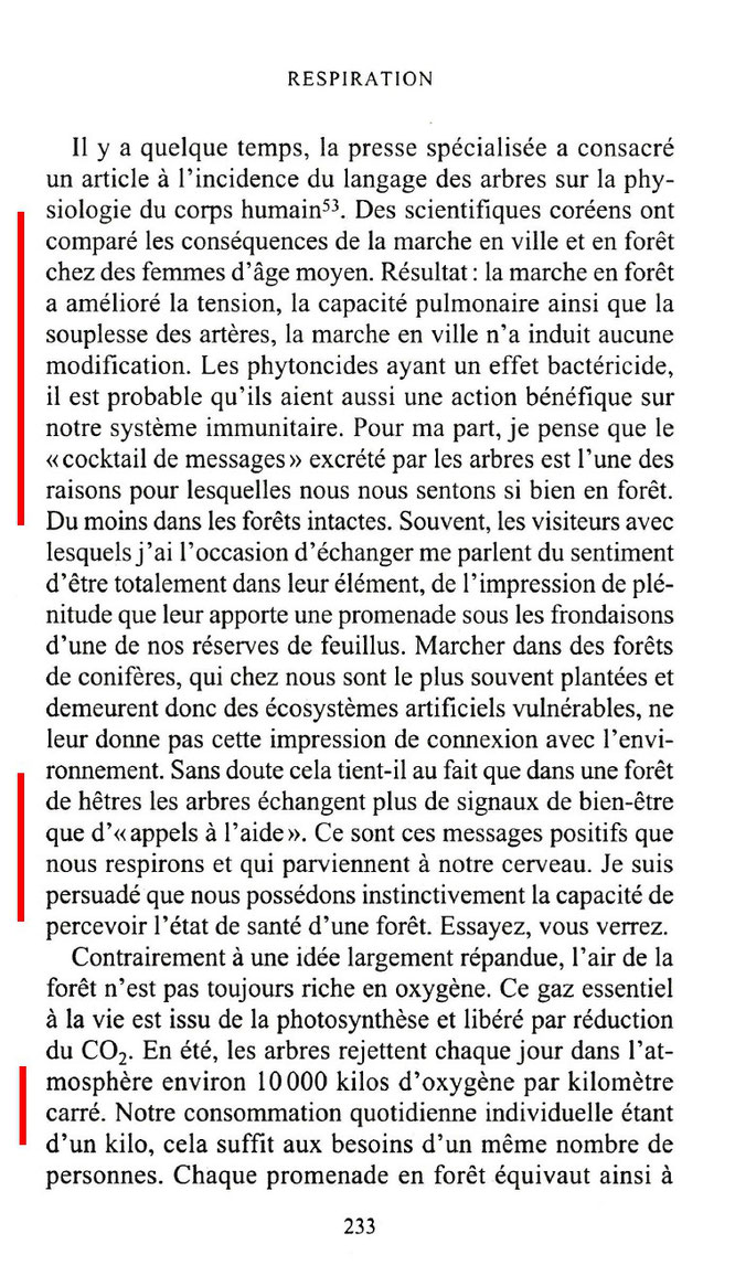 Quand on dit qu'une marche en forêt est bénéfique pour la santé ! Voila pourquoi l'Accob tient à protéger la forêt du Bager d'Oloron !