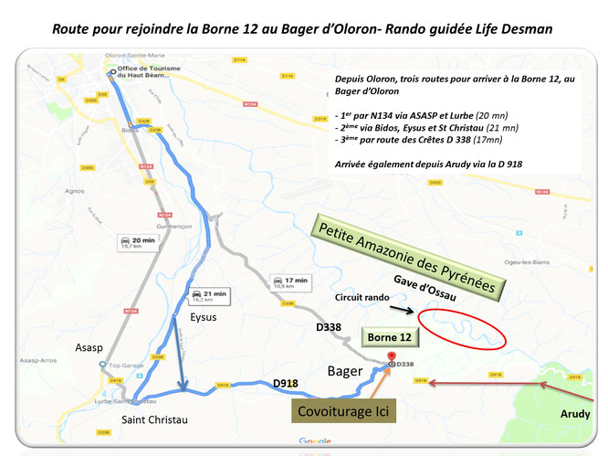 Circuit balade guidée en forêt du Bager pour découvrir les indices laissés par le desman et aussi toute la riche biodiversité sur les berges du gave d'Ossau