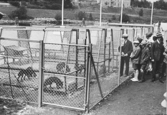 Fra Trøndelagsutstillingen utpå 1930-tallet engang. Foto: DigitaltMuseum