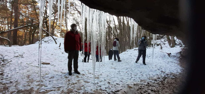 Les visiteurs devant l'entrée de " l'abri des loups  " vont-ils entrer ?
