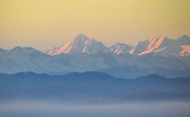 das Finsteraarhorn in der Morgensonne, vom Turm aus gesehen