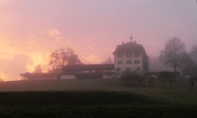 das Schloss im Morgennebel resp. Morgenrot