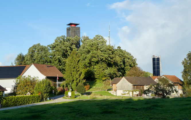 der Napoleonturm bei Hohenrain / Wäldi TG