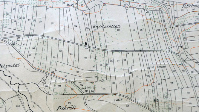 Wahrscheinlich befand sich die dritte Zelge in den Waldstetten, auch wieder mit den schmalen Parzellen. - Karte wiederum von Hanspeter Hediger, Höhwilen
