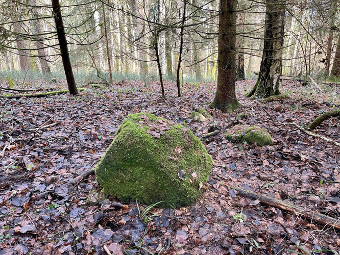 ein übriggebliebener Fundamentstein beim Standort des ehemaligen Napoleonturms. Wahrscheinlich ist es der orange eingekreiste auf dem oberen Grundriss