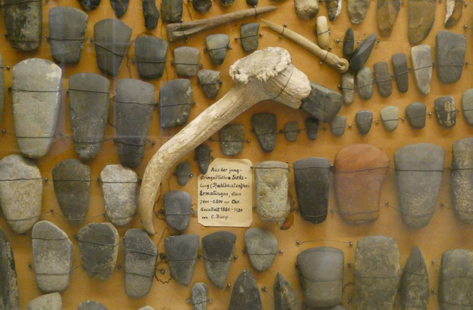 Fundobjekte aus dieser Pfahlbausiedlung; Sammlung C. Bürgi