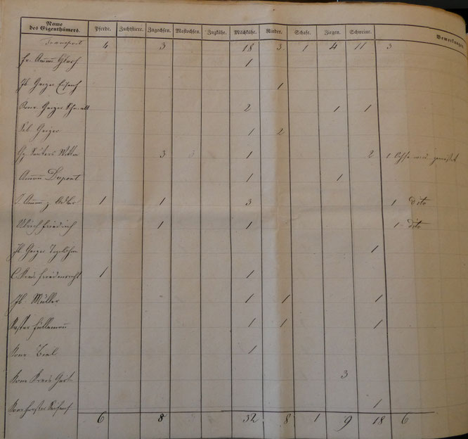 aus der Viehzählung 1851