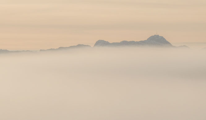 zuweilen blinzelt der Säntis gerade noch übers Nebelmeer