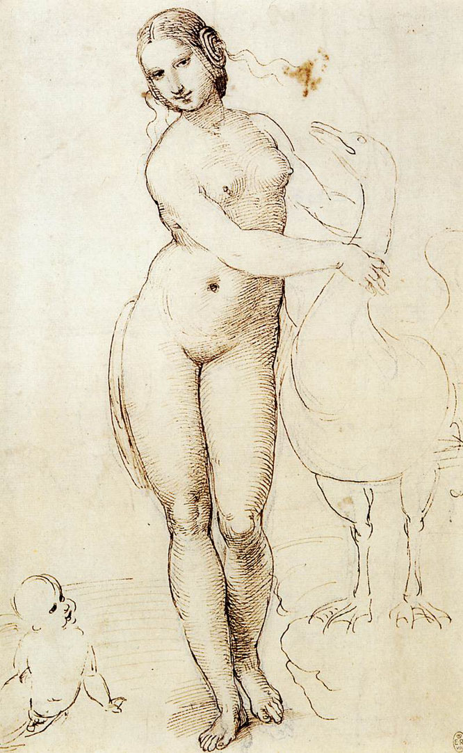 ラファエロによるペン・インク画、レオナルドに倣って描かれたと推定される。