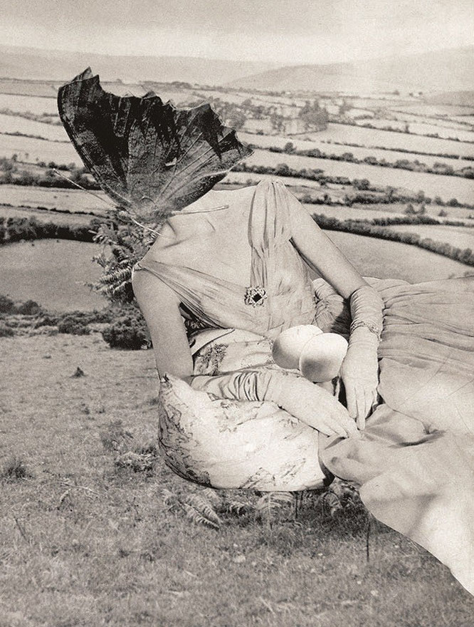 岡上淑子《孵化》（1955年）