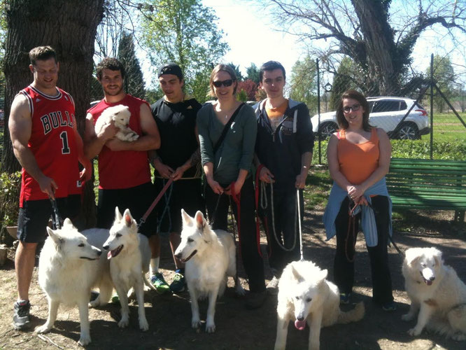 Jacob BOTICA, Taylor PARIS, Jason MARSHALL, Emeline, Florian et Sophie avec nos Bergers Blancs Suisses et Bridélice, Border collie (toute à droite avec Sophie)