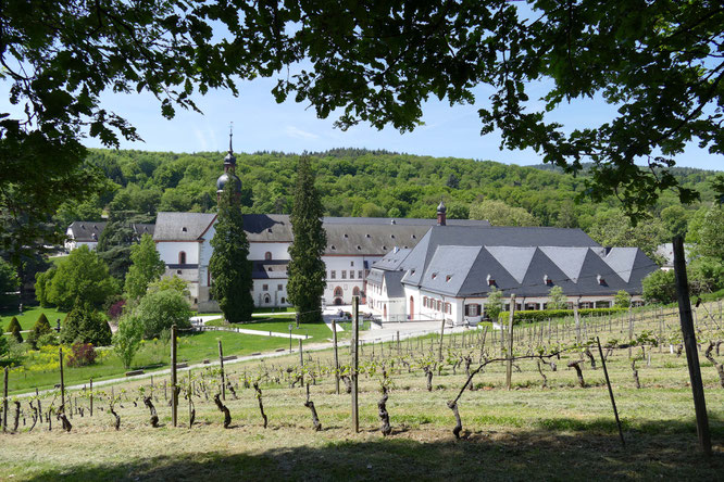 Der Rheingau - ein besonders schönes Fleckchen Erde