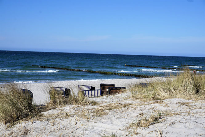 Zwischen Meer und Bodden . Fischland, Darß, Zingst...nie genug!
