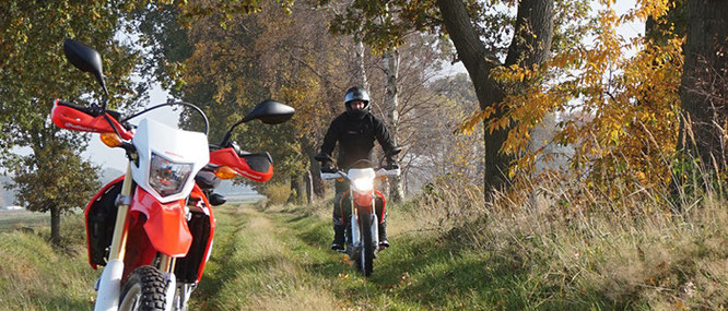 Honda CRF 250 l beim Endurowandern