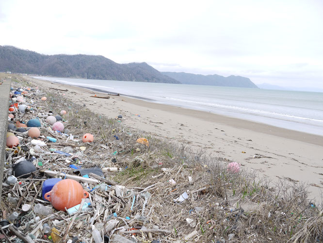 japan plastic pollution