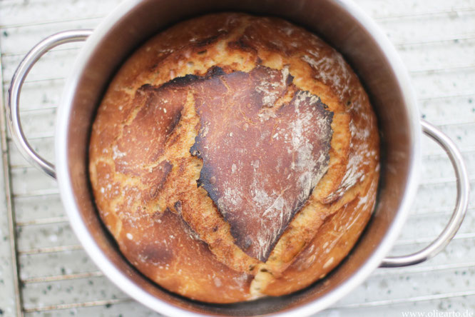 Bio Dinkelbrot aus dem Topf Rezepte Oligarto backen mit Olivenöl