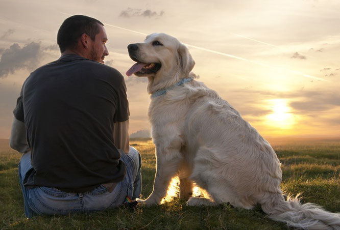 Conscience Animale Rencontre Homme Animal Esprits De Groupe Des Animaux Resonance Quantique Therapie Quantique Spiritualite Bartlett Kinslow