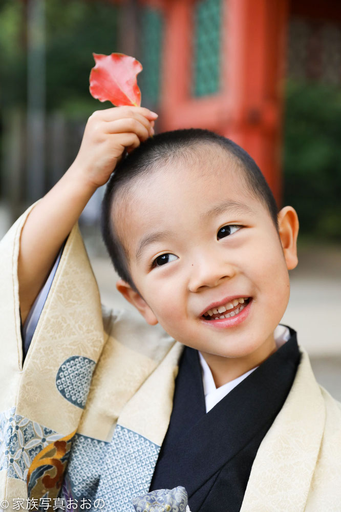 七五三写真, 七五三出張撮影, 七五三出張カメラマン, 出張撮影東京, 出張カメラマン東京, 七五三写真 赤坂日枝神社