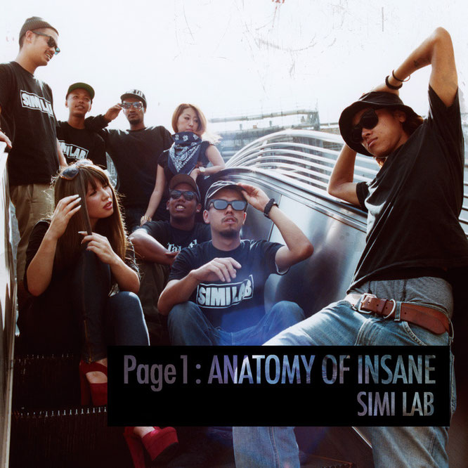 SIMI LAB Page1：ANATOMY OF INSANE