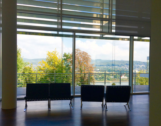 Arp Museum - Beste Plätze mit Aussicht aufs Siebengebirge