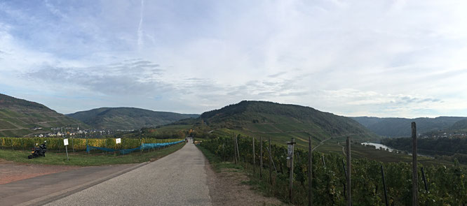 Leider erkennt man die Mosel nur rechts...links fließt sie aber auch.
