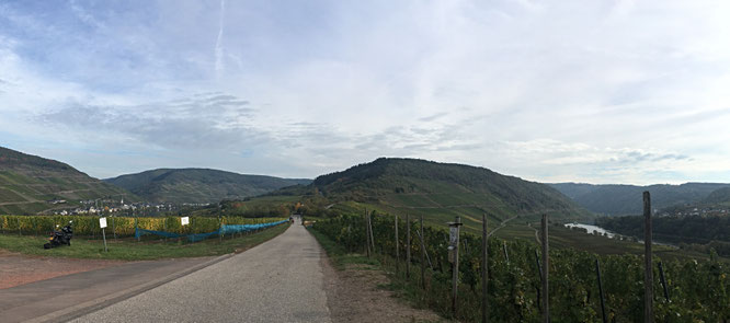 Leider erkennt man die Mosel nur rechts...links fließt sie aber auch. 