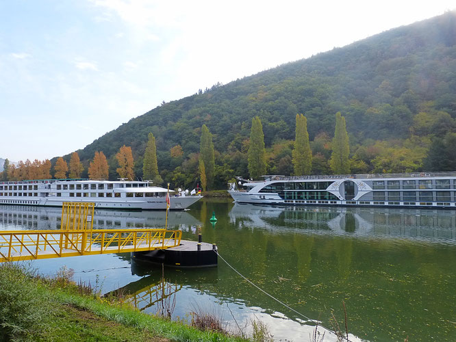 Die Flußkreuzer gleiten auf der spiegelglatten Mosel dahin. 