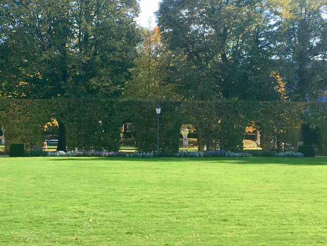 Schön grün ist es im Palastgarten des Kurfürstlichen Palais.