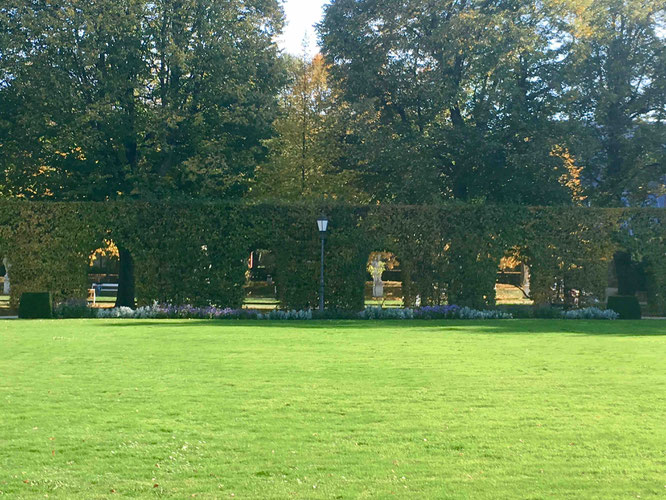 Schön grün ist es im Palastgarten des Kurfürstlichen Palais. 