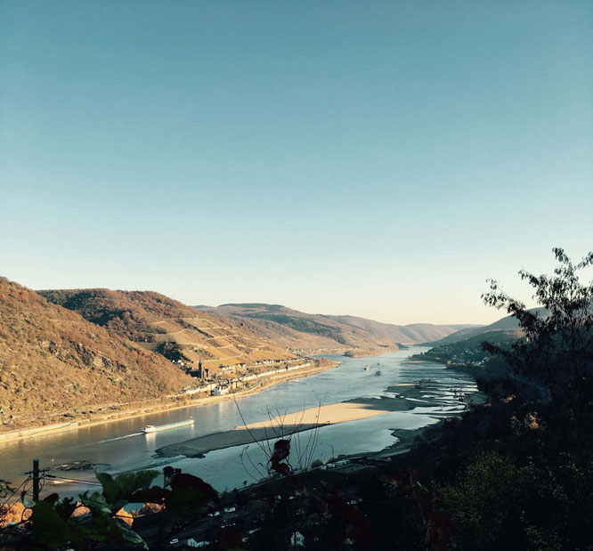 Ausblick von Burg Stahleck auf den Rhein!