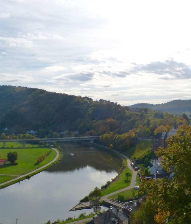 Ausblick von der Saarburg auf die Saar.