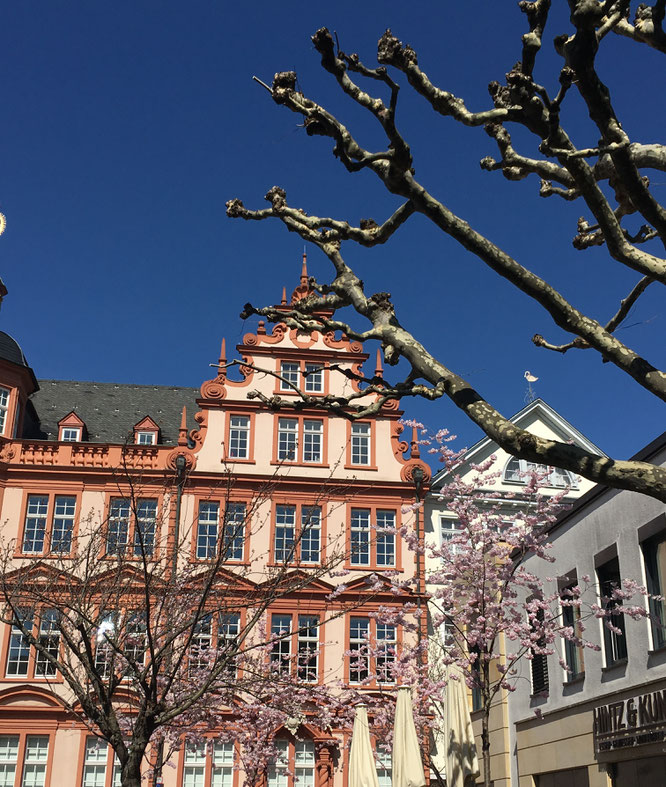 Frühlingserwachen in Mainz