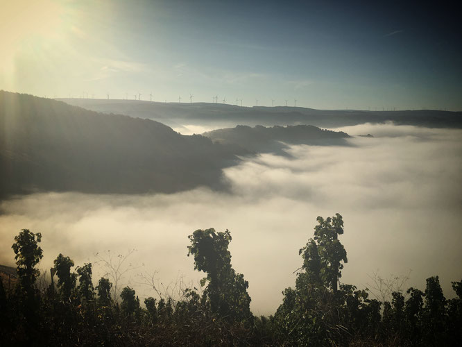 Von hier oben kann man dem Nebel beim Wandern und Wabern zuschauen.