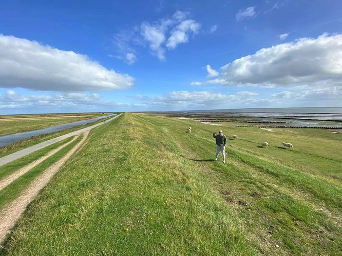 Deich Nordsee Wattenmeer Polder Mandø 