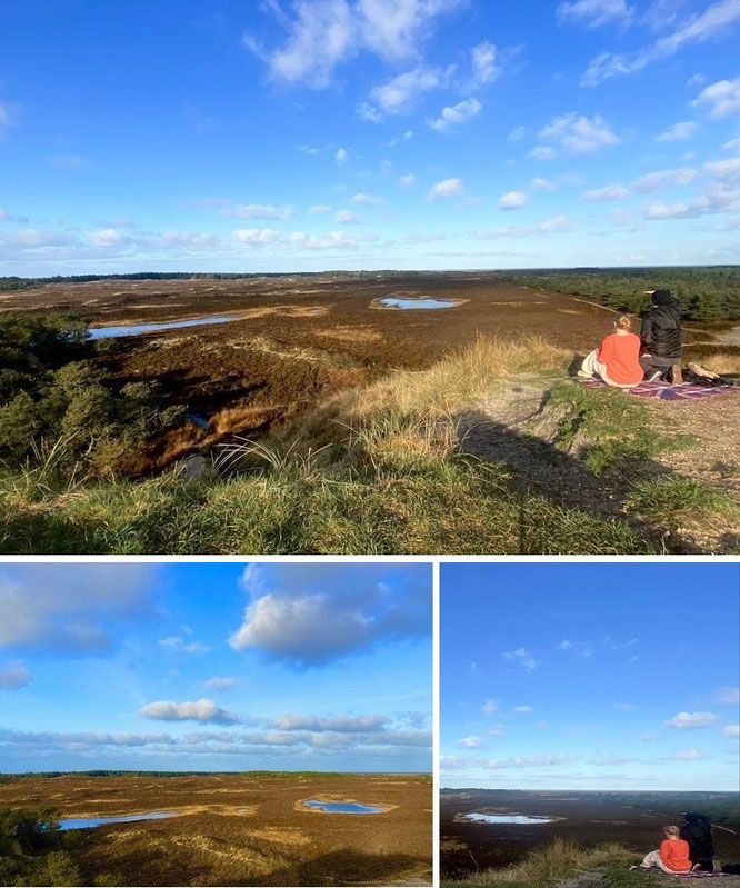 Höstbjerg, Rømø - Blick in Richtung Westen (Bolilmark) - 55° 9′ 55,1″ N, 8° 33′ 20,1″ O 