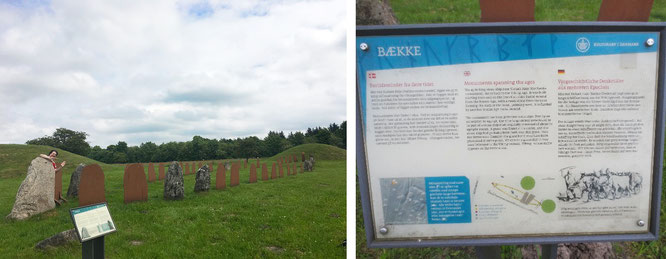 Baekke-Monument, Klebaek Höje: 2 Grabhügel (1.500 - 1.200 v.Chr.) und eine Schiffssetzung (1.000 n. Chr.). Auch die abgeschiedene Lage katapultiert diesen Ort in meine Top 10 der Dänemark-Highlights... 