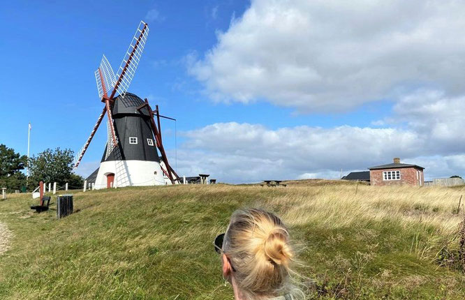 Heide Mandö Mühle Windmühle Dänemark Jütland 