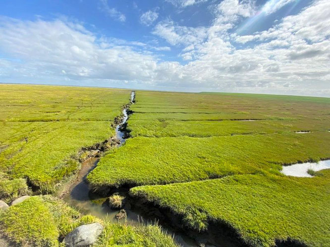 Polder und Priel. Marschlandschaft auf Mandø. Bravo! Im Süden der Insel