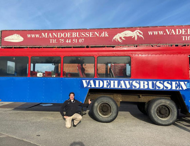 Traktorbus Traktor Bus Dänemark Vadehavsbussen Wattenmeer Watt Mandö Römö Fanö