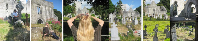 Muckross Abbey umgibt ein verwunschener Friedhof - übersät mit keltischen Kreuzen als Grabsteine...