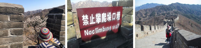 A chinese saying:  "He who has never been to the Great Wall is not a true man."  How can I have not climbed the Great Wall (我还 没 登过呢不过 这个月底 我 就要去 北京 登)?     